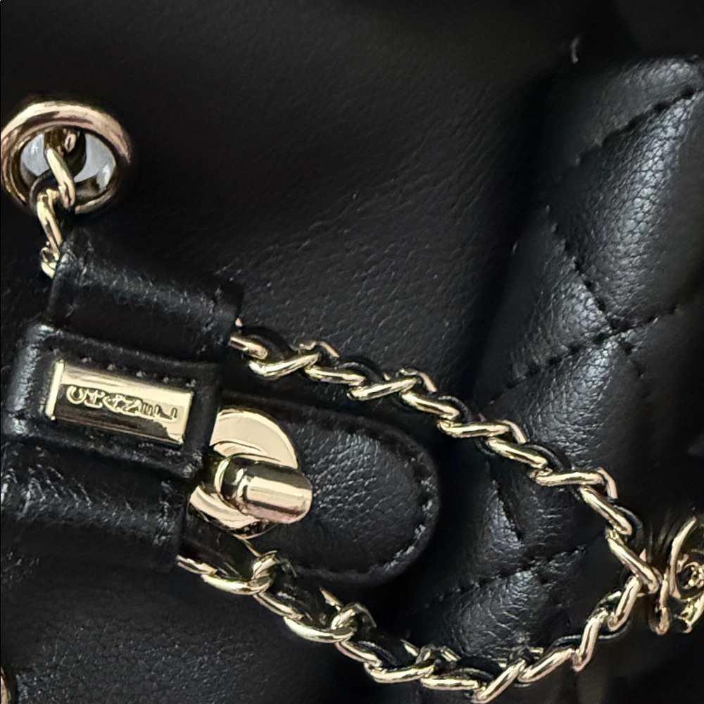 CHANEL Black Quilted Leather Mini Backpack with Gold-Tone Chain - Picture 4 of 6
